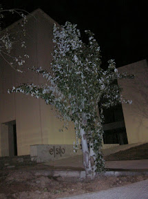 Vista nocturna del exterior del Teatro Municipal .Foto: Pozoblanco News