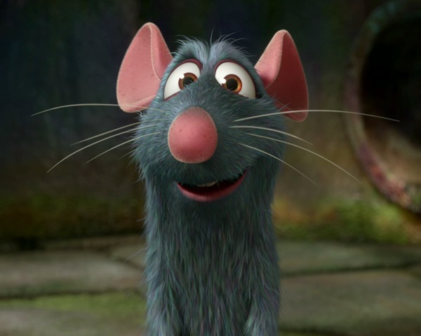 [Rat small[3].jpg]