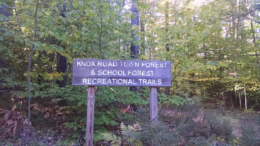 Bow Town Forest And Trails