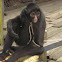 Ateles chamek