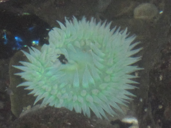Spotting Image 1