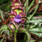 Self-heal