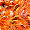 Koi (farmed)