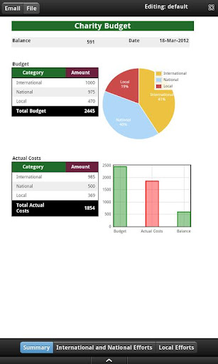 Charity Budget