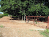 Vendo Finca En El Tigre Estado Anzoategui