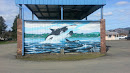Killer Whale Mural 