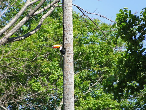 Spotting Image 1