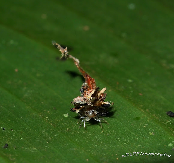 Spotting Image 1