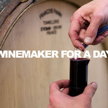 Winemaker for a Day
