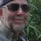 MickGrant