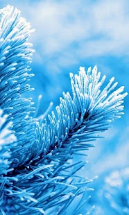 How to download Winter Live Wallpaper 15.0 apk for bluestacks