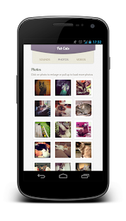 How to mod Fab Cats sounds videos photos patch 1.1 apk for pc