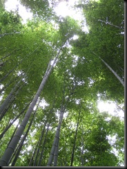 20081019