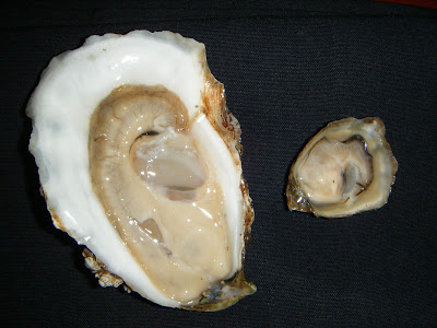 Pacific Star Oyster Bar/Round Rock Location Image