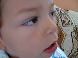 P1010028.JPG