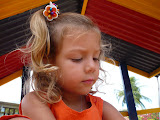 P1000384.JPG
