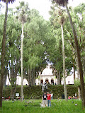 P8240045.JPG