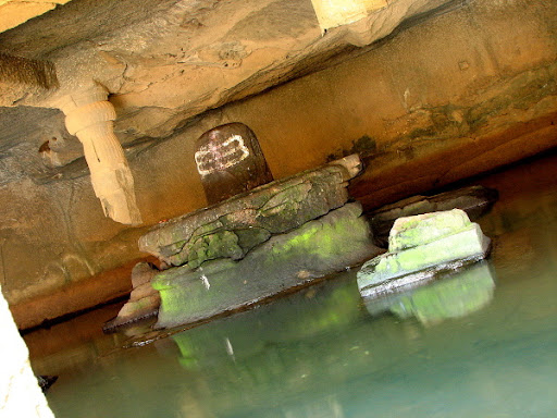 Image credit: http://lh3.ggpht.com/naroor/R4ztvbV97uI/AAAAAAAAGeY/zn8mSDpphWo/IMG_6664.jpg