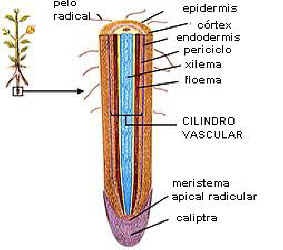 [clip_image014[3].jpg]