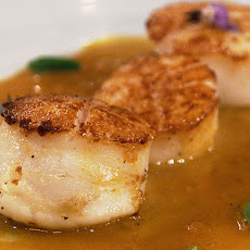 Seared Sea Scallops with Carrot Marjoram Sauce