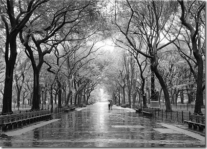 central_park_malll
