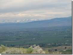 IMG_4360