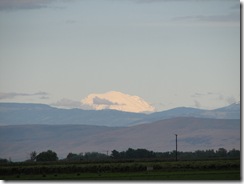 IMG_4393