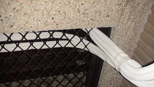 ap_20071105104554323