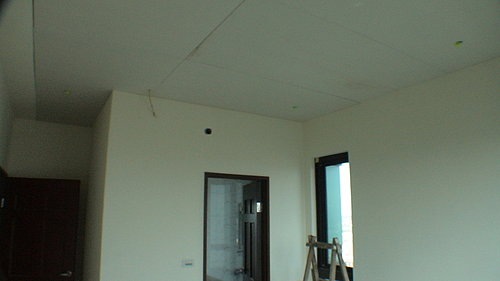 ap_20071115084351134