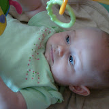 14-16 weeks old