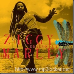 ZiggyMarley-Dragonfly