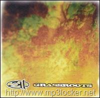 [311_-_Grassroots[3].jpg]
