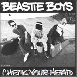 Beastieboyscheckyourhead