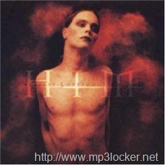 [41yLKp5O00L._SL500_AA240_[2].jpg]