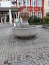 Gemeindebrunnen Taufkirchen/Pram
