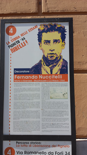 Fernando Nuccitelli