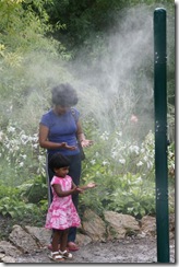 IMG_1293 (Large)