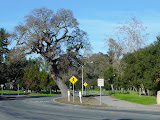DSC02620.JPG