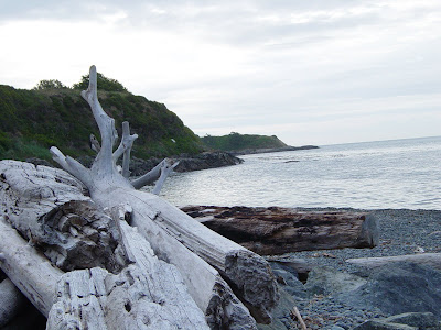 DSC02364.JPG