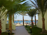 DSC01667.JPG