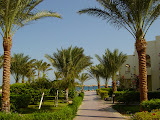 DSC01676.JPG