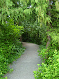 DSC02308.JPG