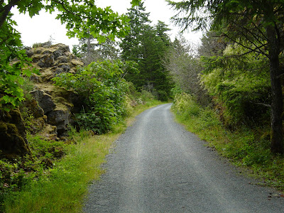 DSC02309.JPG