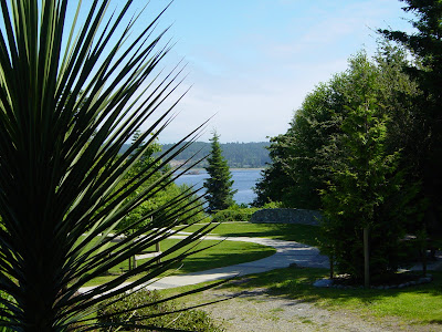 DSC02358.JPG