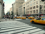 P1000245.JPG