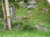 P1010203.JPG