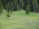 P1010253.JPG