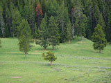 P1010258.JPG