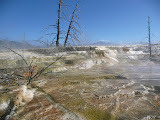 P1010377.JPG