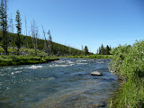 P1010411.JPG